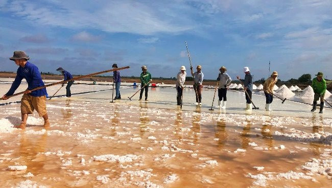 Vui buồn nghề muối Bạc Liêu - Bài 2: Ứng dụng kỹ thuật, công nghệ mới