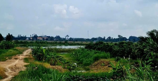 Chính quyền An Giang vào cuộc vụ khai thác trái phép hơn 875.000m3 đất