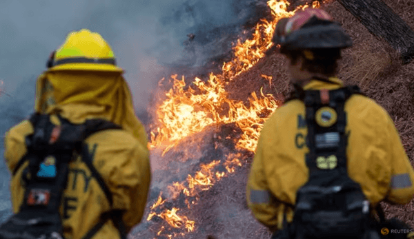 Lợi dụng cháy rừng tại Los Angeles, kẻ xấu giả làm lính cứu hỏa để ăn trộm