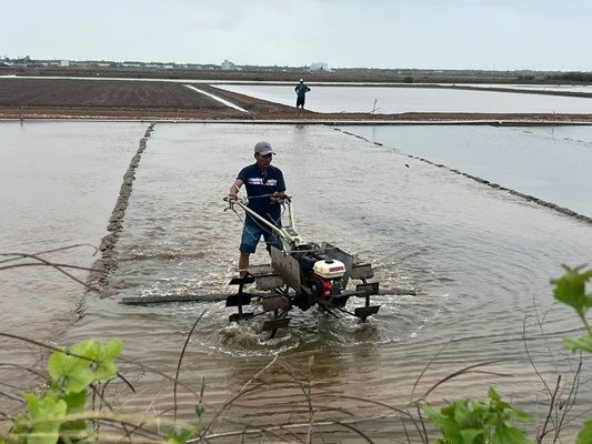 Diêm dân Bạc Liêu tất bật vào vụ mới