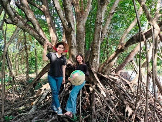 Về Mũi Cà Mau ngắm cây đước 60 năm tuổi