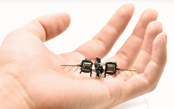 Bọ robot có thể thay ong thụ phấn cho cây