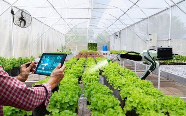 Mỹ muốn chuyển giao công nghệ và sản xuất xanh với Việt Nam