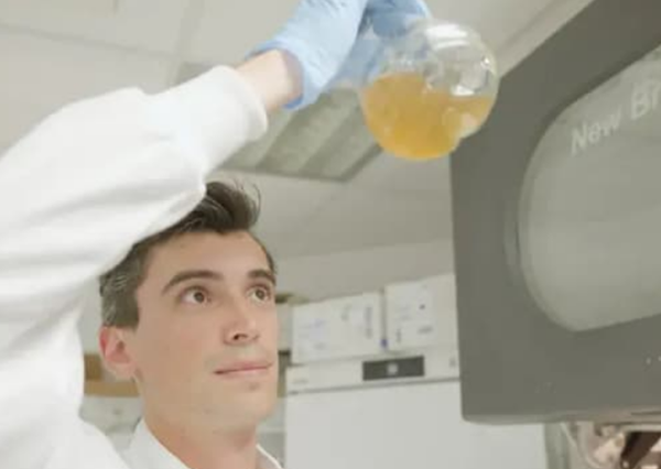 Khuẩn E.coli biến rác thải nhựa thành thuốc giảm đau