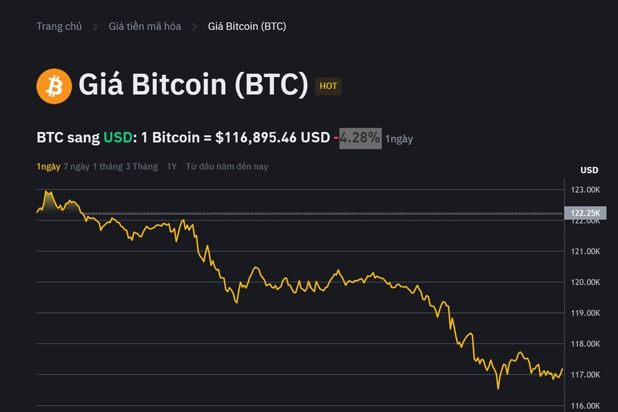 Lý do Bitcoin giảm sâu xuống dưới 117.000 USD sau khi tăng kỷ lục vượt 123.000 USD