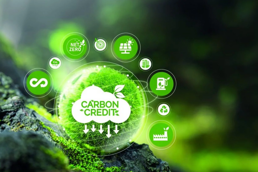 Sàn giao dịch carbon: Cần làm rõ các hành vi bị nghiêm cấm