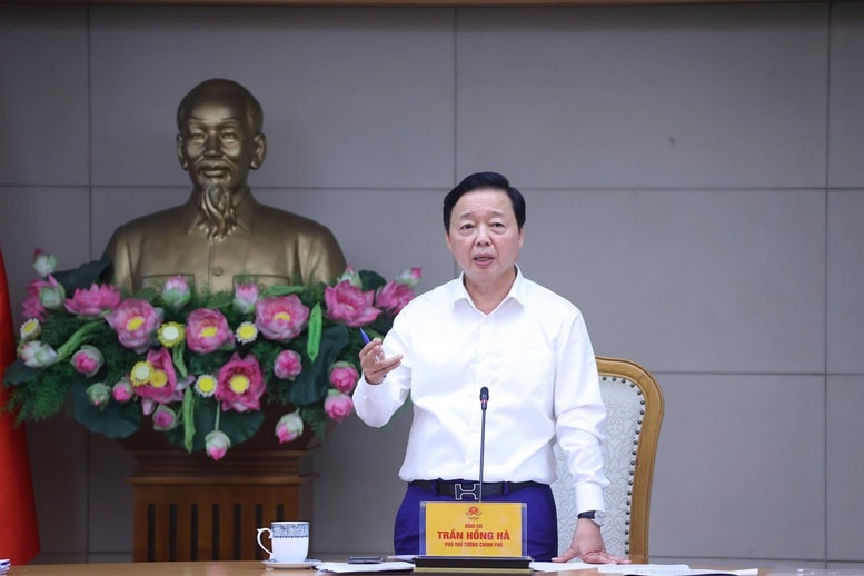 Gỡ thẻ vàng EC: Chấm dứt việc 'vi phạm nhưng không rõ ai xử'