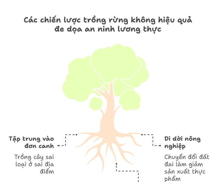 Tín chỉ carbon hôm nay (4.8): Trồng cây gì, ở đâu để đạt Net Zero, đảm bảo an ninh lương thực