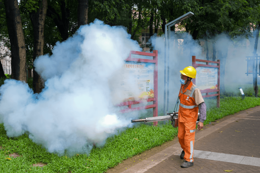 Chuyên gia: Diệt muỗi không đủ chống lại bùng phát dịch chikungunya ở Trung Quốc