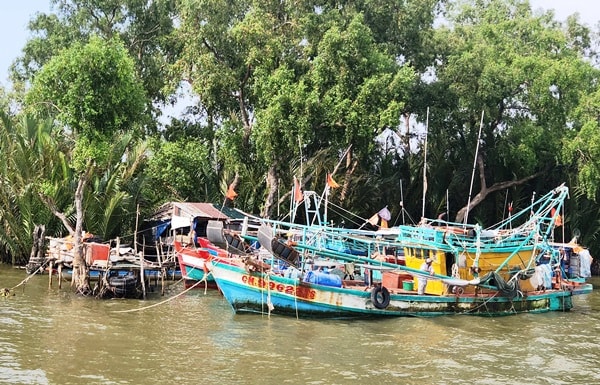An Giang số hóa tàu ghe để kiểm soát hoạt động đánh bắt thủy sản