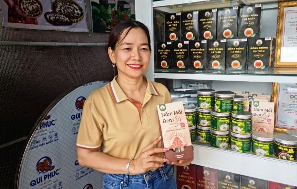 Ứng dụng công nghệ cao trồng nấm, năng suất và thu nhập tăng vọt