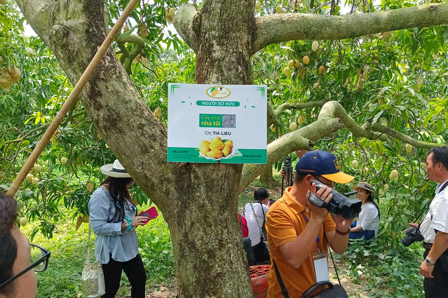 Đồng Tháp: Chuyển đổi số và áp dụng khoa học công nghệ ngành du lịch