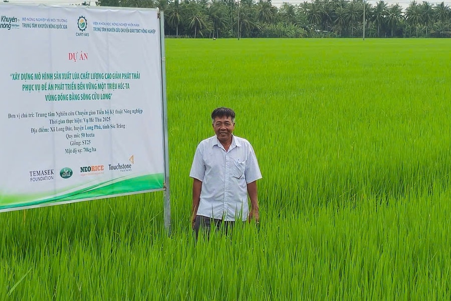 Thực hiện đề án lúa chất lượng cao, phát thải thấp nhìn từ một hợp tác xã ở ĐBSCL