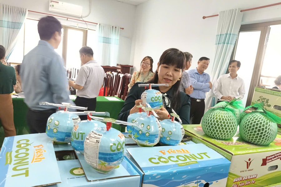 'HTX được vay tối đa 5 tỉ đồng để sản xuất nhưng chưa biết tiếp cận ở đâu'
