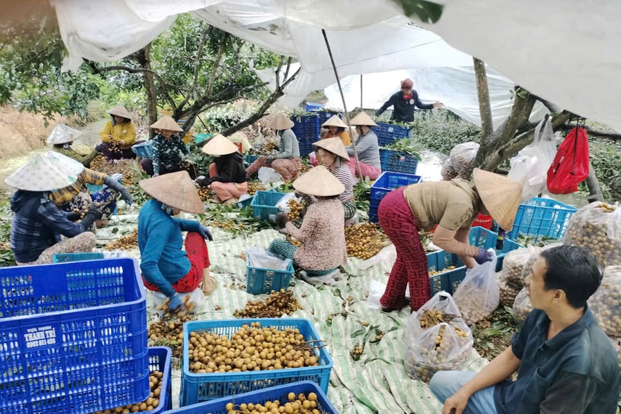 'Khoa học công nghệ phải lồng vào đào tạo nghề nông nghiệp, nông thôn'
