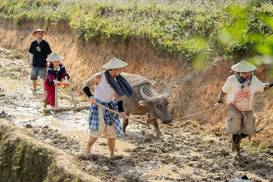 'Gia đình Haha' - khi mạng xã hội giúp đề cao nông dân Việt