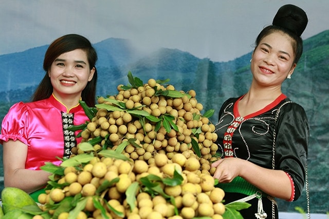 Dự án số hóa của Úc giúp nông dân vùng núi Tây Bắc xuất khẩu nông sản