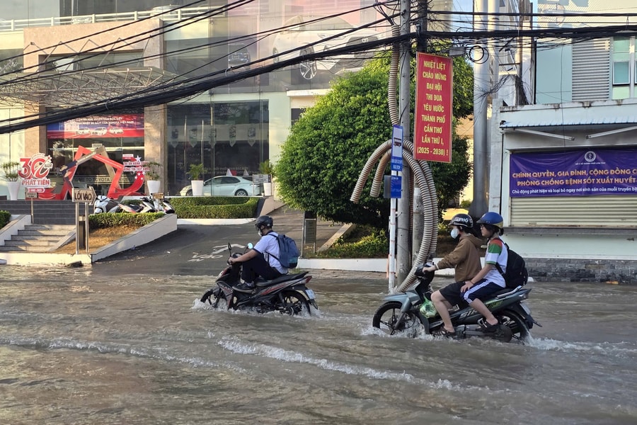 ĐBSCL và cuộc đua 'Đê tinh - Thủy tinh': Không có hồi kết (?!)