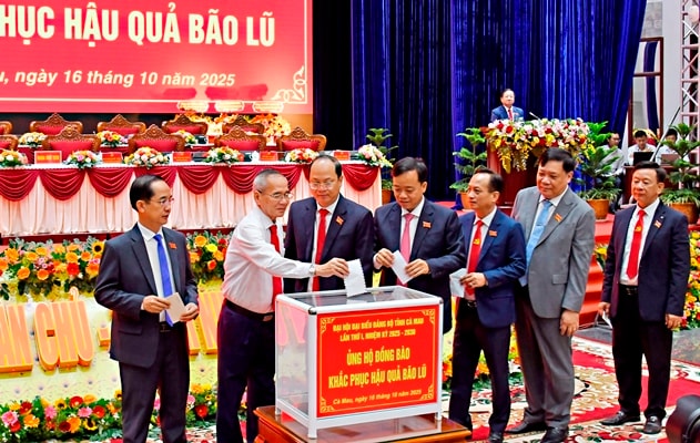 Đại hội Đảng bộ ở Cà Mau: 100% đại biểu được trang bị máy tính bảng thay cho văn bản giấy
