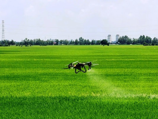 An Giang: Hơn 600 drone “cất cánh” trên đồng ruộng, mở đường cho nông nghiệp số