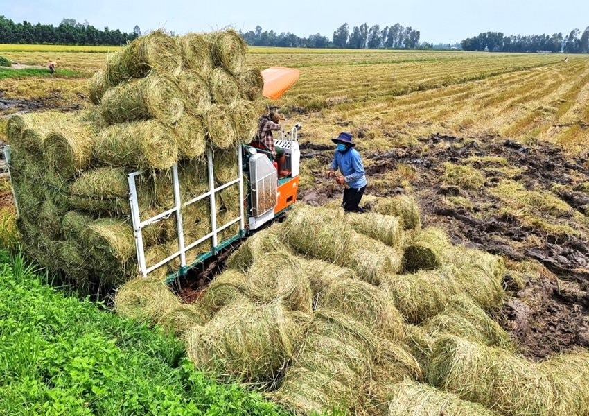 Bước khởi đầu cho nông nghiệp tuần hoàn ở ĐBSCL