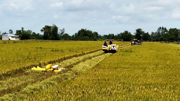 Khuyến nông là ‘cầu nối’ đưa khoa học đến ruộng đồng