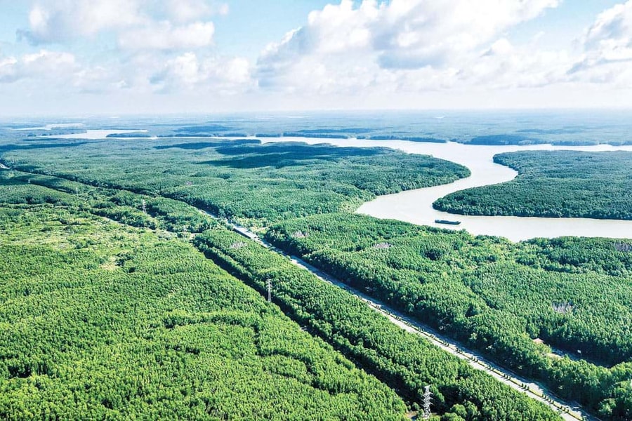 TP.HCM phê duyệt phương án quản lý bền vững 34.800 ha rừng phòng hộ Cần Giờ