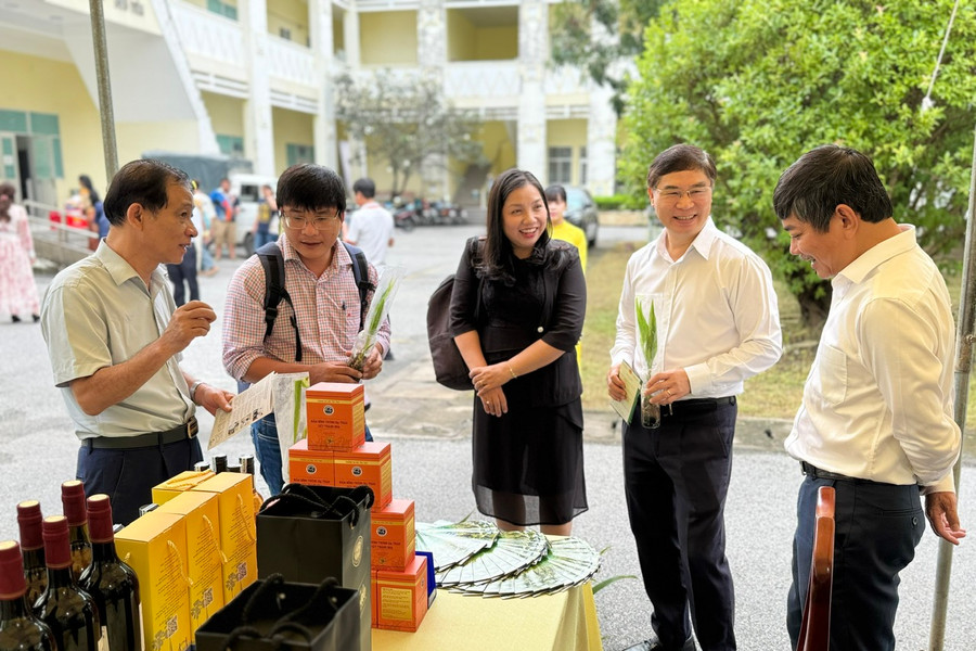 Phát triển cây dừa thành cây công nghiệp chủ lực quốc gia