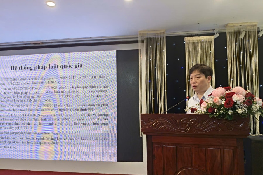 Vi phạm quyền sở hữu trí tuệ ngày càng tinh vi, phức tạp