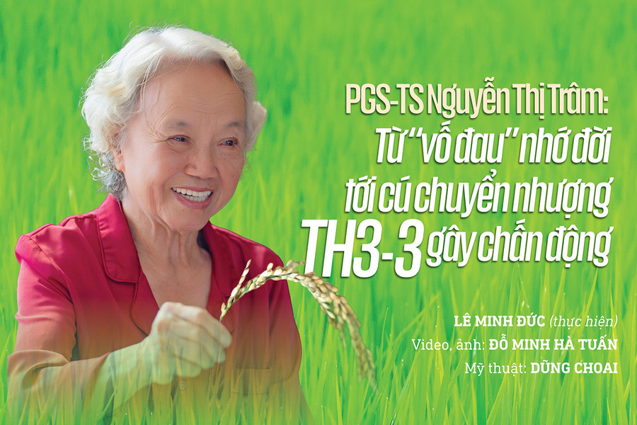 PGS-TS Nguyễn Thị Trâm: Từ “vố đau” nhớ đời tới cú chuyển nhượng TH3-3 gây chấn động