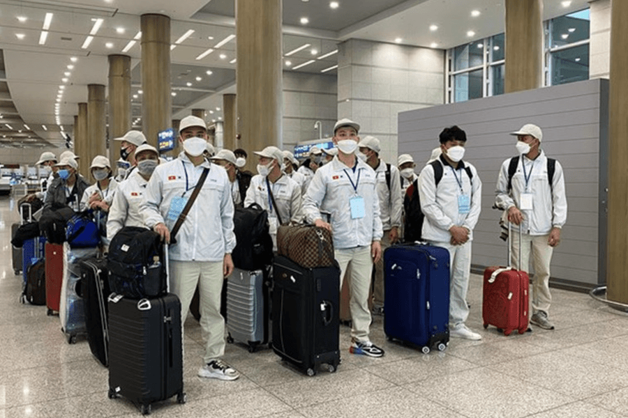 Chuyển đổi số thúc đẩy chiến lược đưa lao động Việt Nam đi làm việc nước ngoài