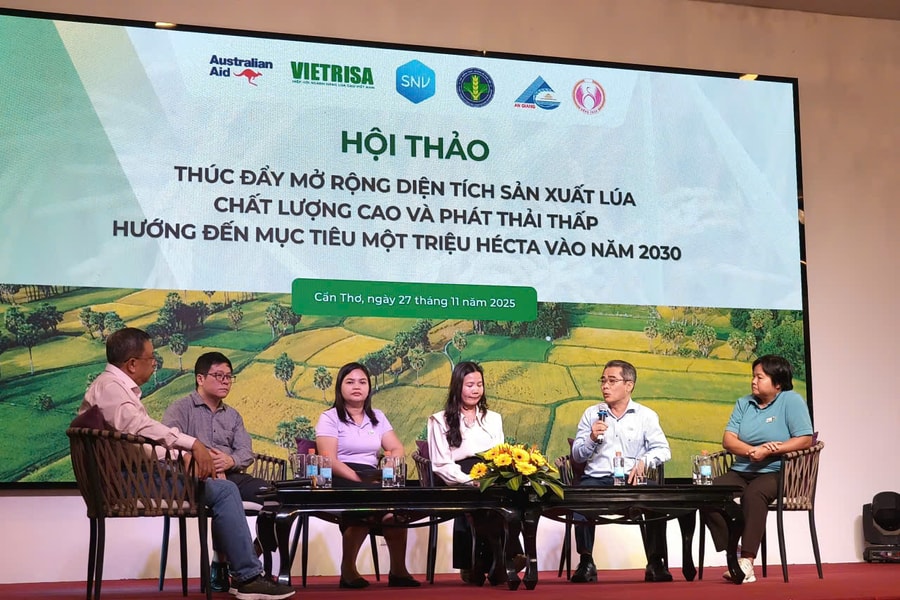 Gạo Việt xanh có sự đóng góp rất lớn của khoa học công nghệ