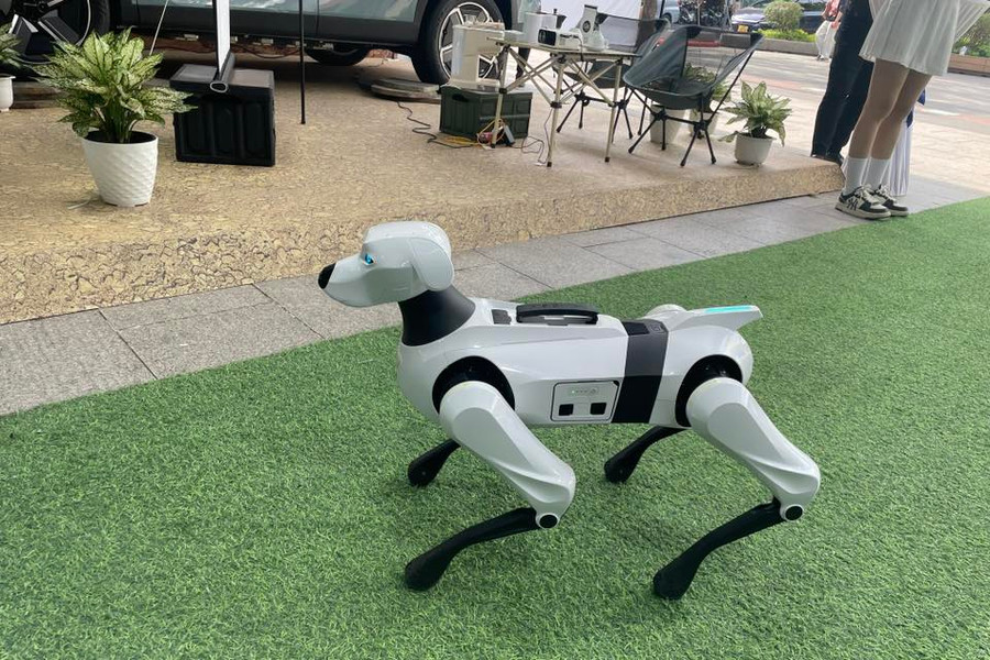 Video màn trình diễn của chó robot giữa phố đi bộ thu hút người xem