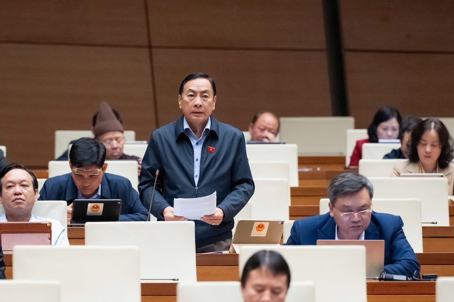 Thẩm phán toà án chuyên biệt là người nước ngoài: ĐBQH chỉ rõ nguyên nhân mấu chốt