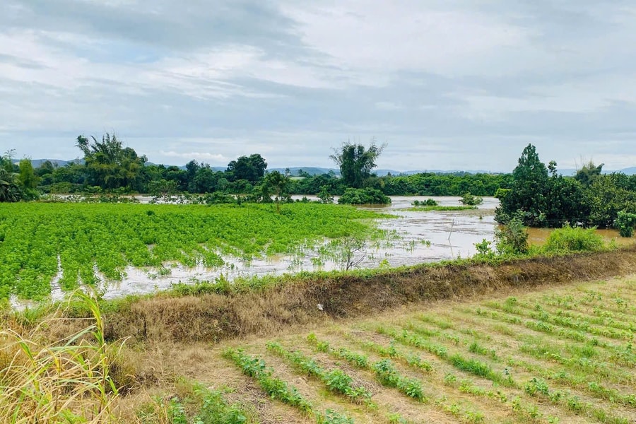 Đồng Nai yêu cầu hỗ trợ hàng trăm hộ dân bị ngập lụt