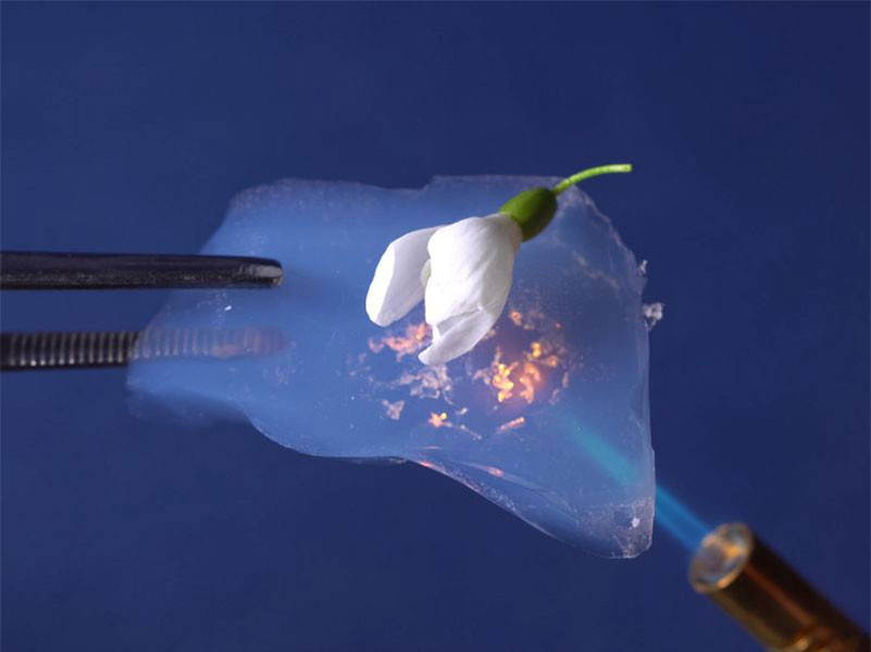 Giải mã Aerogel: Cuộc cách mạng vật liệu từ rác thải nhựa và nông nghiệp