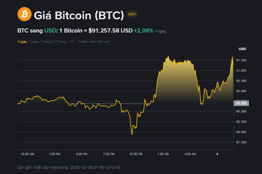 Giá Bitcoin hôm nay 8.12: Phục hồi trên 91.000 USD, tâm lý thị trường vẫn thận trọng
