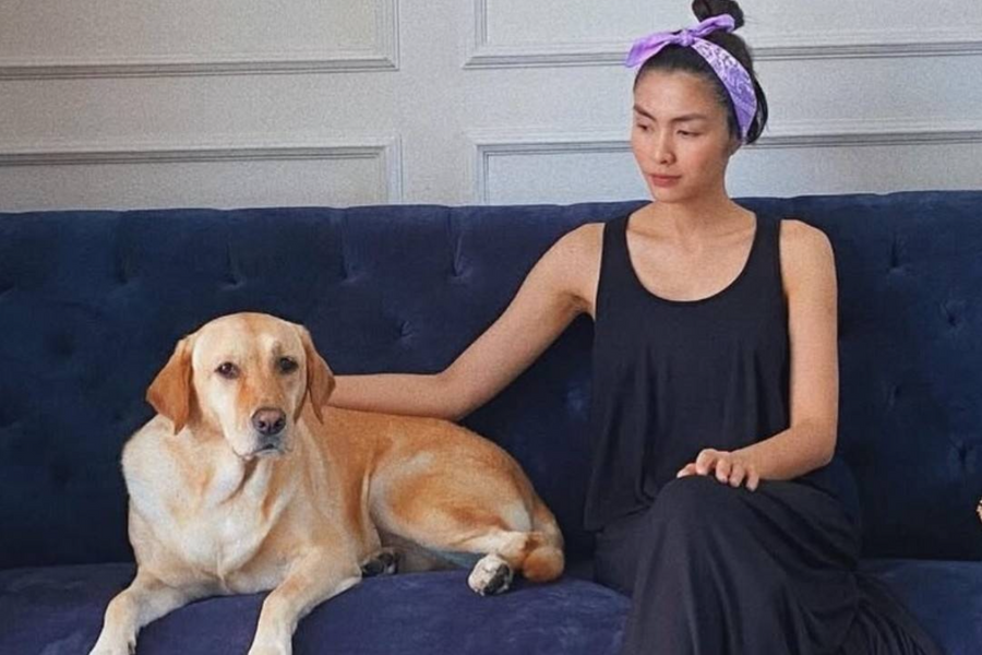 Khóc thương con chó của Hà Tăng