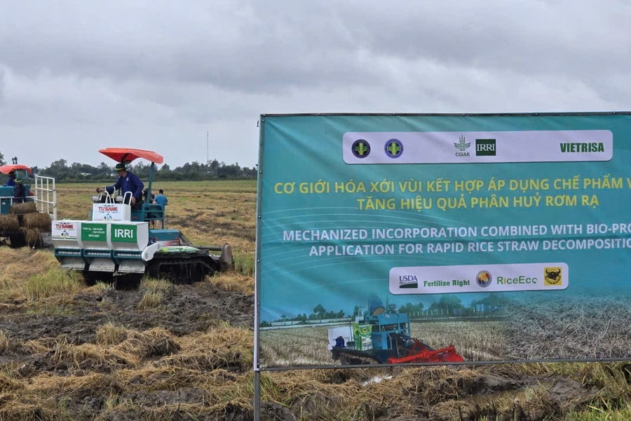 Nâng cao chuỗi giá trị từ rơm rạ giúp nông dân tăng thêm thu nhập