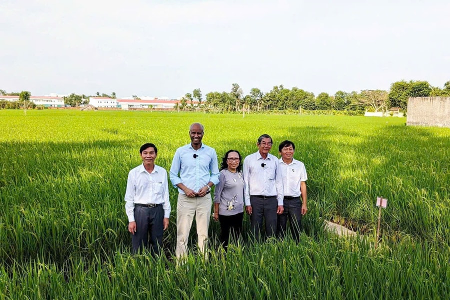 Công nghệ số mở đường cho nông nghiệp Cần Thơ phát triển hiện đại, bền vững