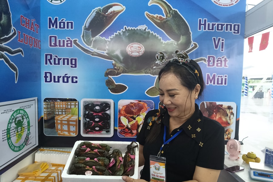 Nuôi cua công nghệ ở Cà Mau: Tiềm năng lớn nhưng chưa bứt phá