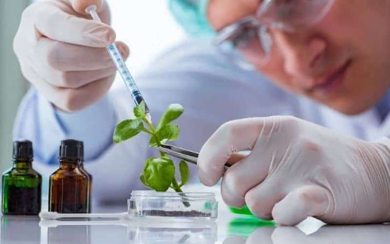 TP.HCM bật đèn xanh công nghệ sinh học, Khu Công nghệ cao nhắm vị thế khu vực