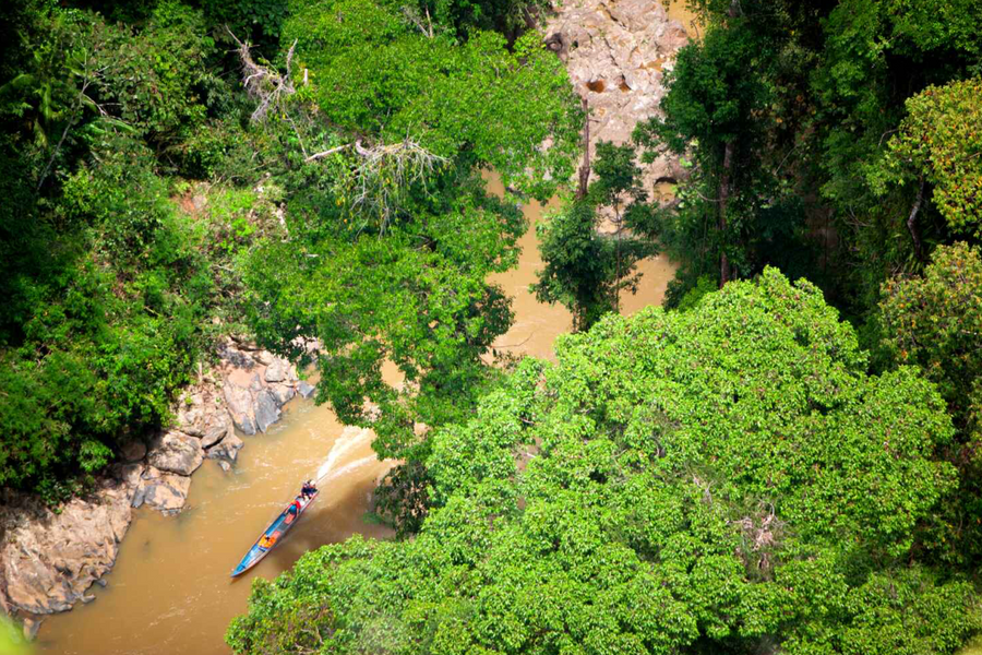 Rừng mưa nguyên sinh Maliau Basin: ‘Thế giới đã mất’ của Đông Nam Á