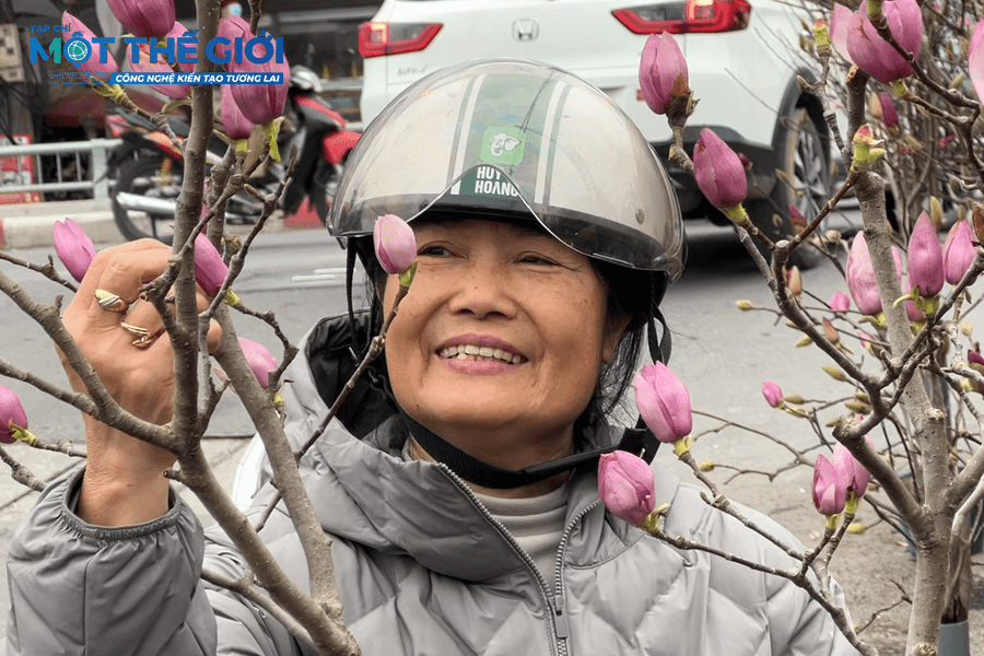 Tết về từ chợ hoa Quảng Bá: Sắc xuân nở rộ, mộc lan lên ngôi