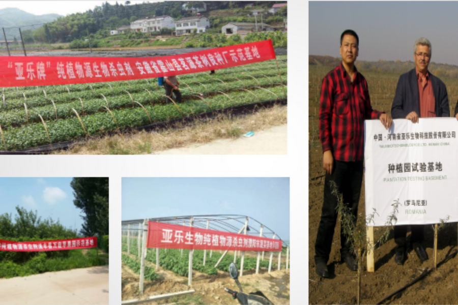 Yale Hà Nam và Sứ mệnh Nông nghiệp Xanh tại Hội nghị SBV2026