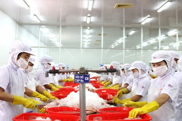 TP.HCM ủy quyền Giám đốc Sở ATTP: Doanh nghiệp được lợi gì từ cải cách thủ tục?