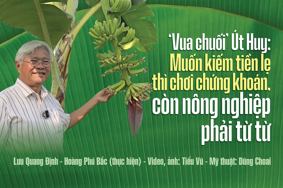 ‘Vua chuối’ Út Huy: Muốn kiếm tiền lẹ thì chơi chứng khoán, còn nông nghiệp phải từ từ