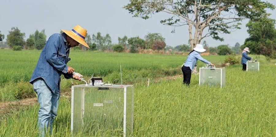 Chuyển đổi số giám sát môi trường giúp nhà nông ĐBSCL canh tác lúa chính xác, bền vững