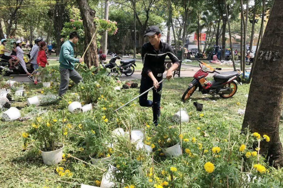 Đập hoa không phải tàn nhẫn, đó là kỷ luật thị trường
