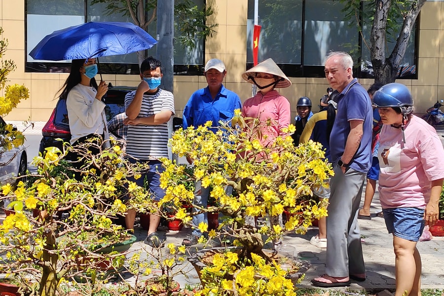 Thị trường Tết 28 tháng Chạp: Thời tiết ‘tàn bạo’ đã ‘tàn phá’ thu nhập của nhà vườn